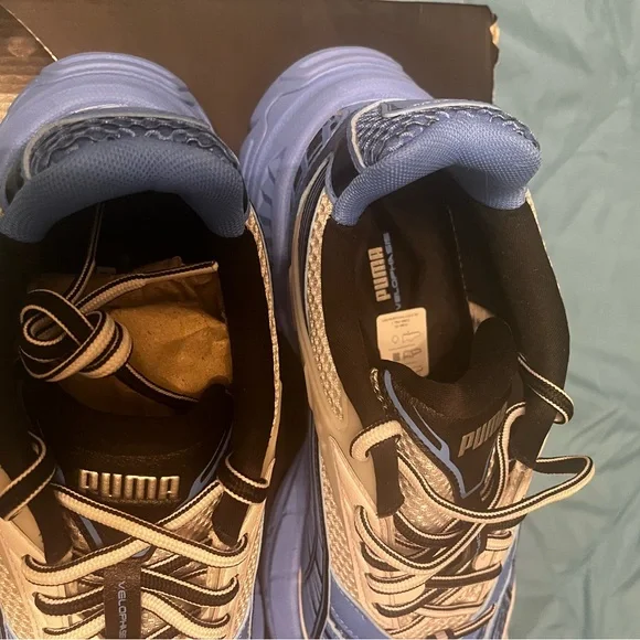 Velophasis Dusky Blue and Black Pumas